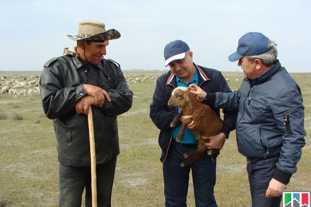 Фото аграханского залива