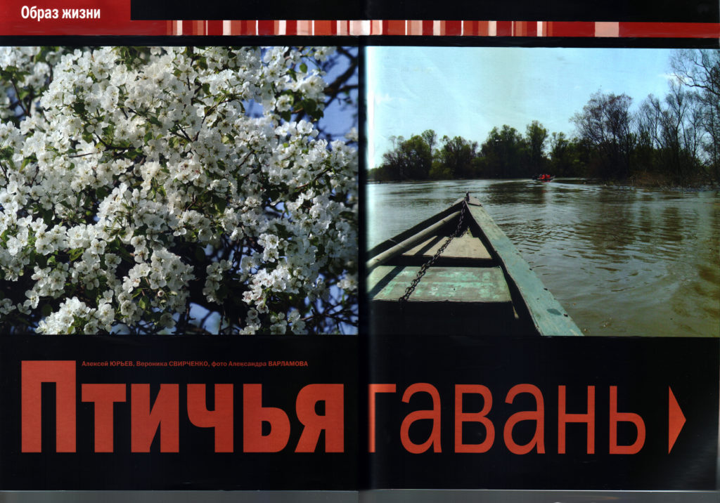 Птичья гавань